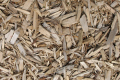 biomass boilers Armitage